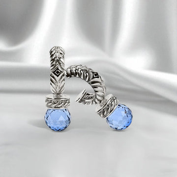 Persian Shield Silver Women's Earrings with Blue Sapphires - DaneilaLeon